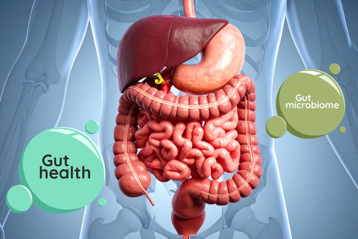 The complete guide to gut health: transform your microbiome for better mood, digestion, and longevity