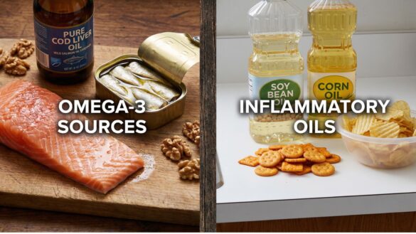 Omega-3 rich foods including salmon, sardines and cod liver oil contrasted with inflammatory seed oils and processed foods