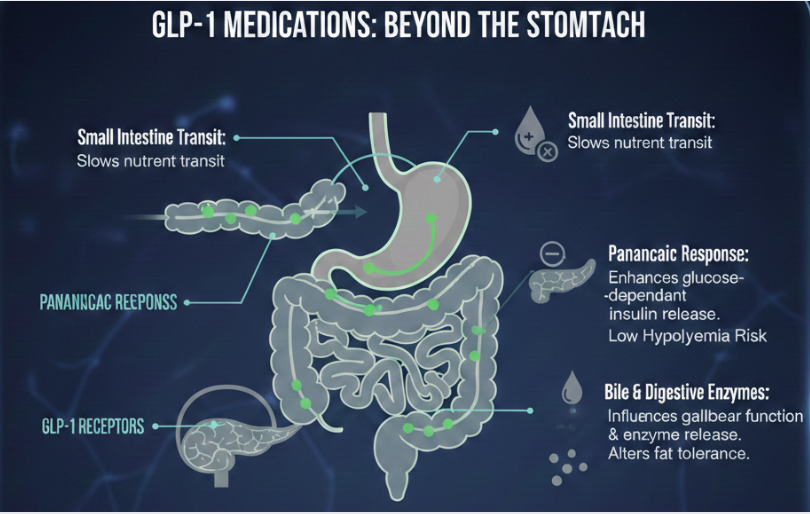 GLP-1 medications: beyond the stomach